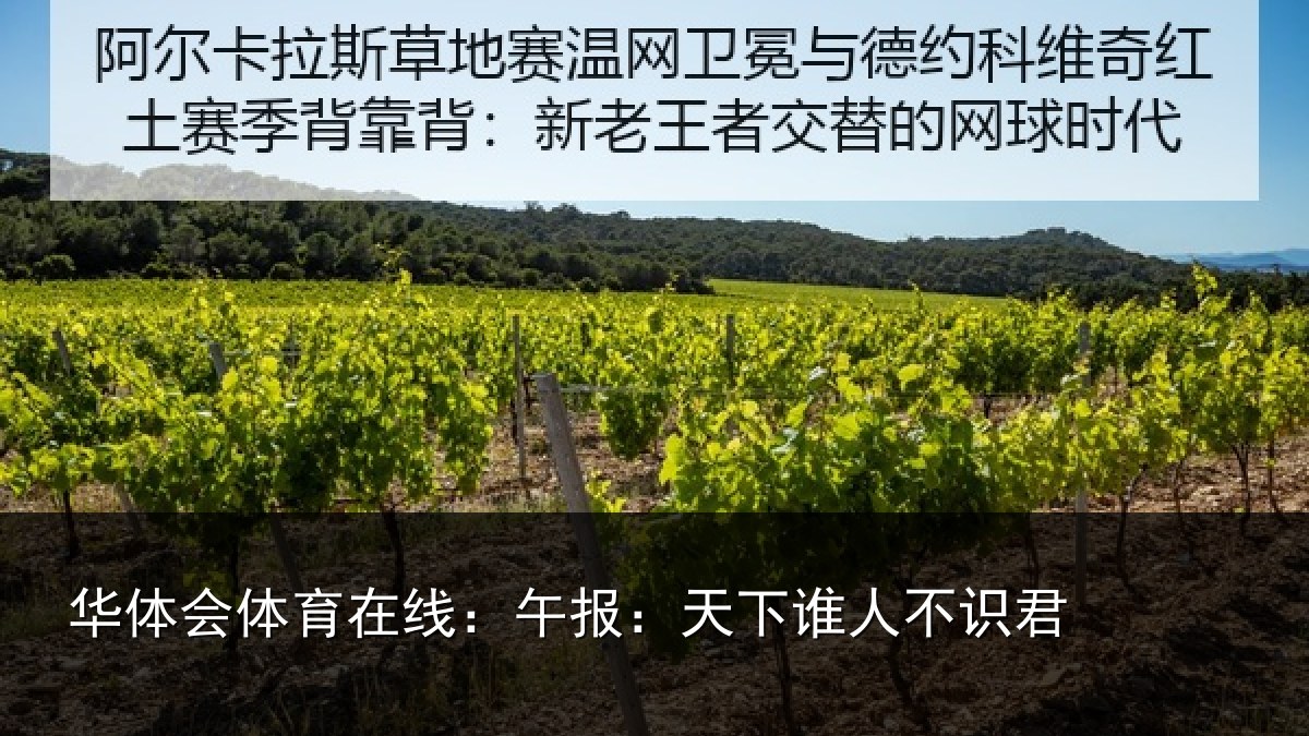 华体会体育在线：午报：天下谁人不识君